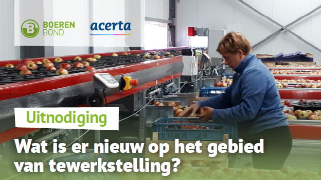 Wat is er nieuw op het gebied van tewerkstelling?