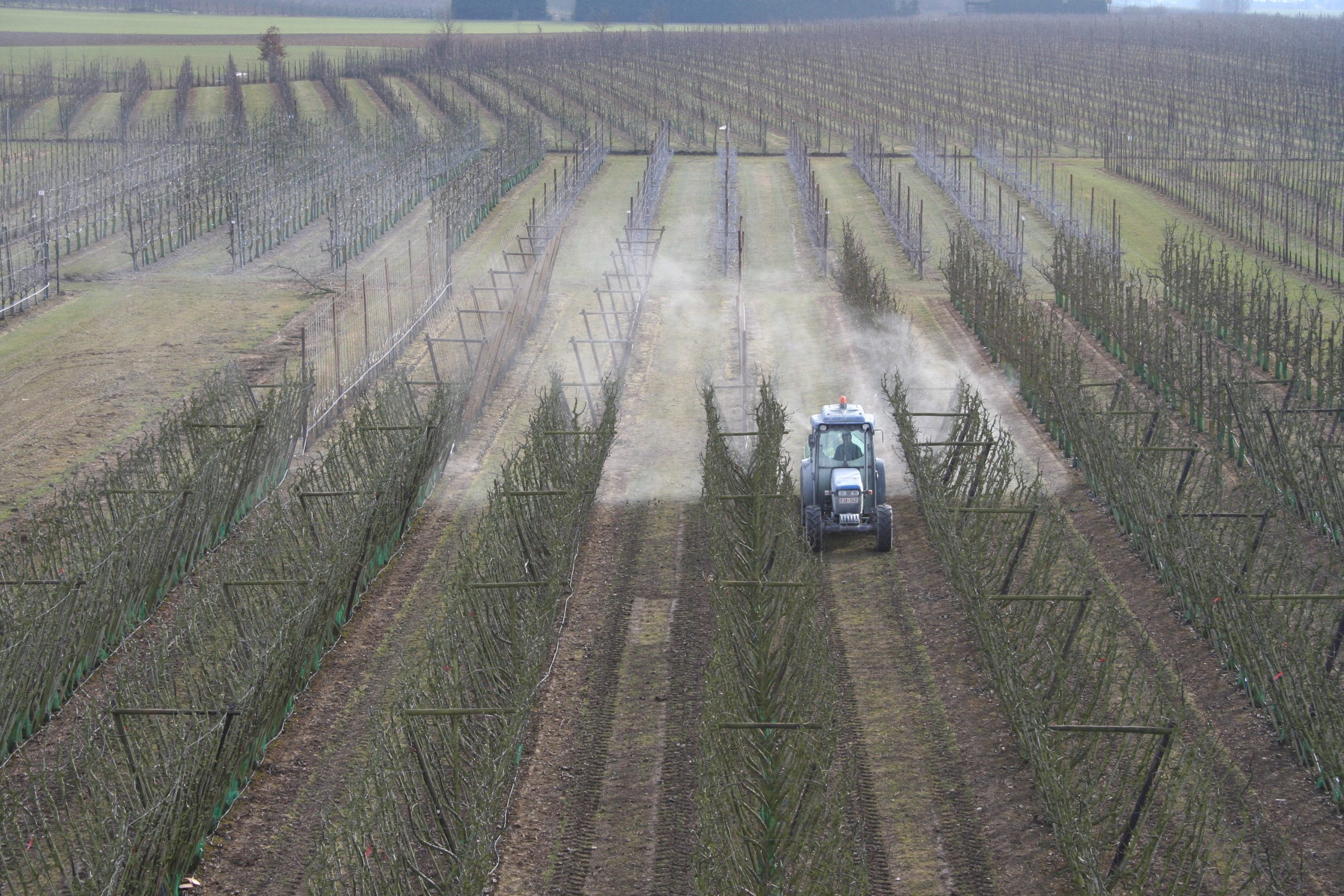 Webinar thema teelttechniek: spuittechniek en IPM