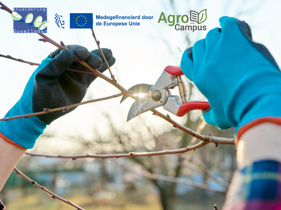 Snoeidemonstratie voor liefhebbers