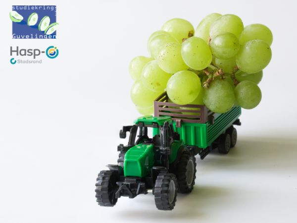 Theorielessen rijbewijs G