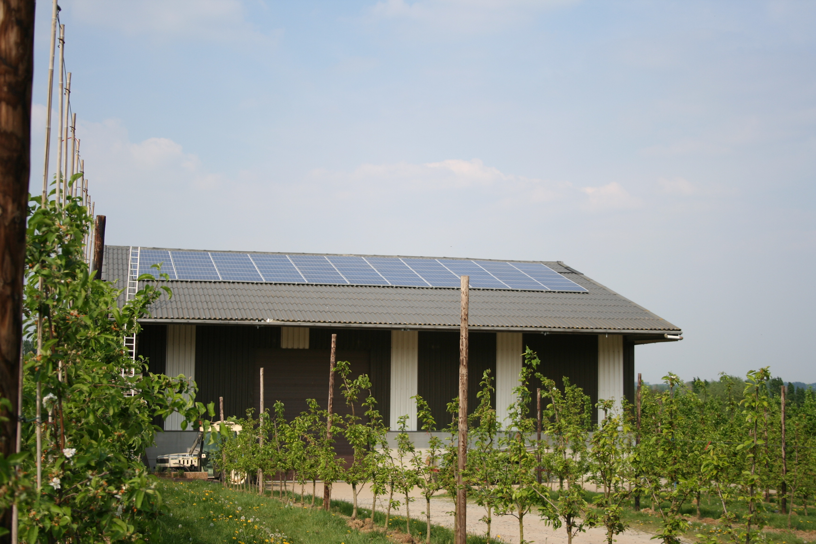 Vruchtbare innovatie: Grip op uw energie, beleid en bewaring