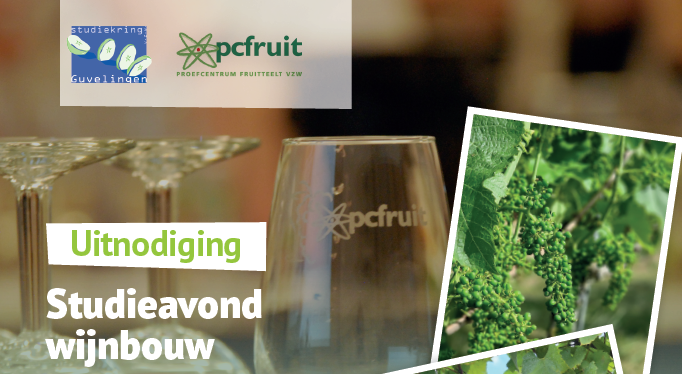 Studieavond wijnbouw