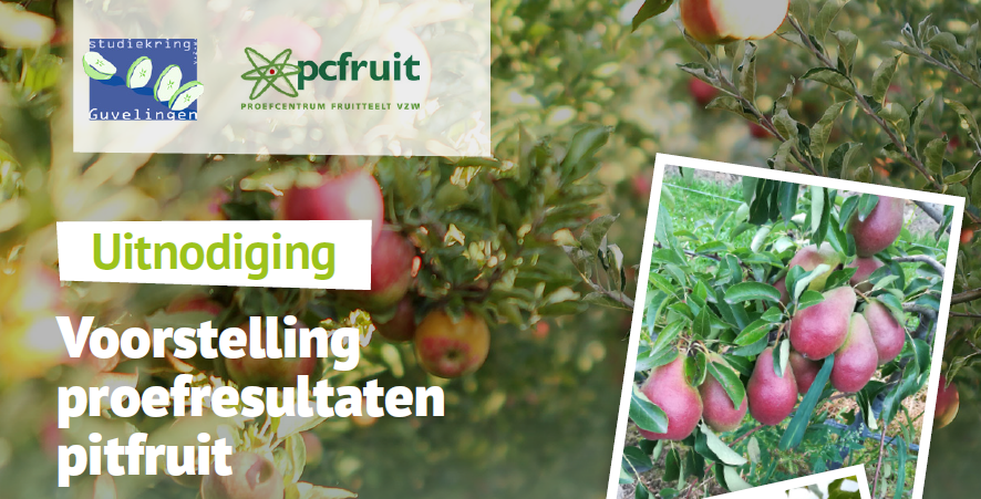Voorstelling proefresultaten pitfruit