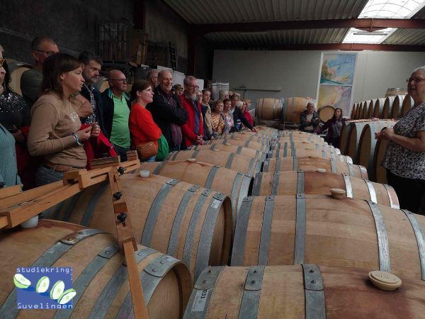 Wijnreis Pfalz en Freiburg